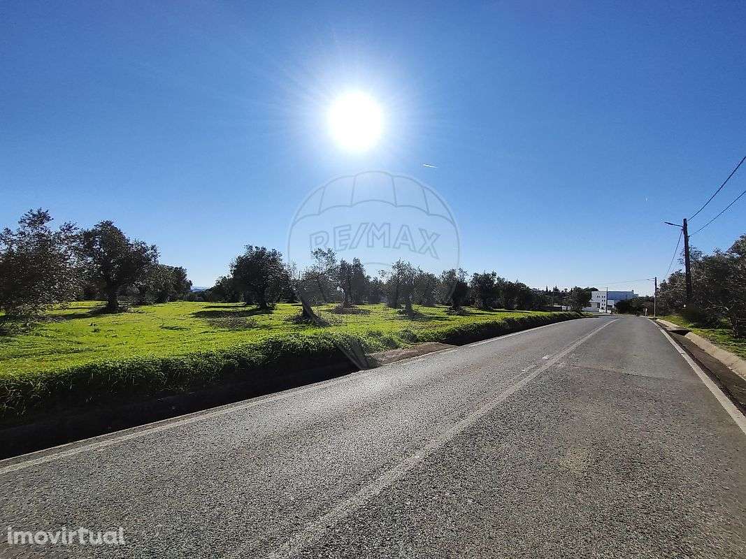 Terreno  para venda - Grande imagem: 5/5