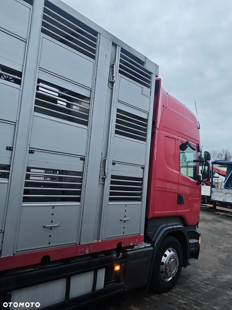 Scania R450 * do żywca * do bydła * świniarka *do trzody - 4