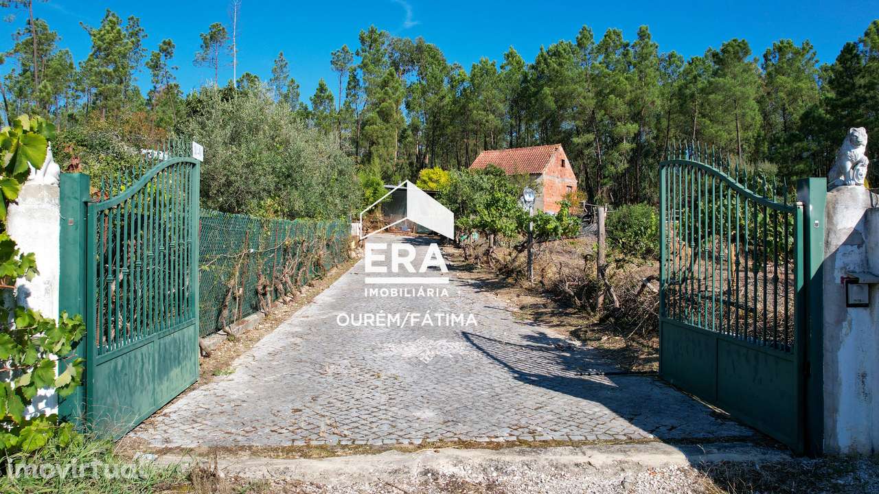 Moradia T3 implantada num terreno com 3.855m2 em Casal Domingos João - Grande imagem: 3/30