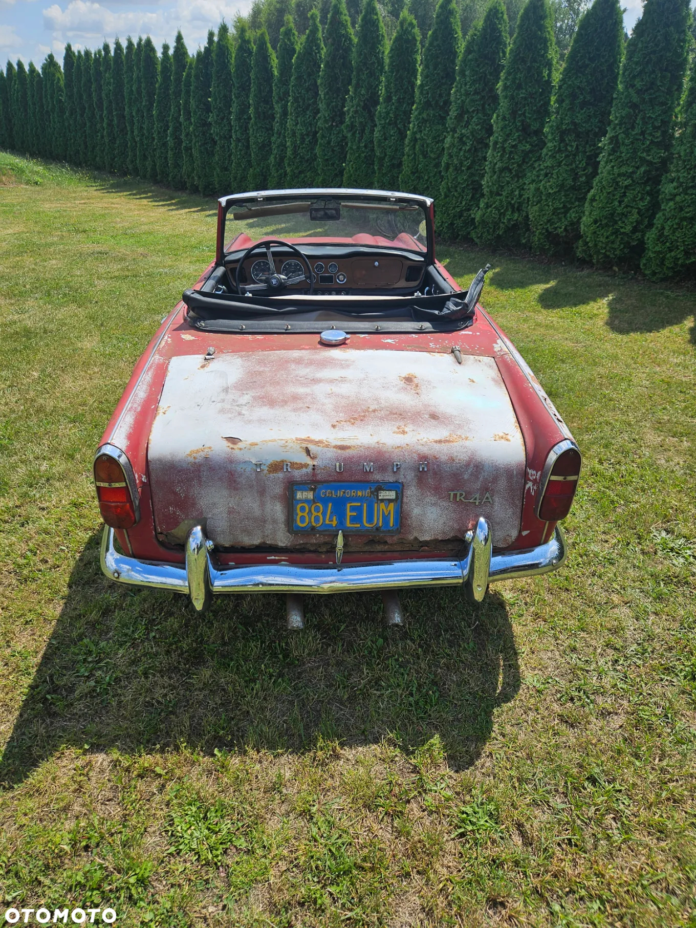 Triumph TR4 - 5