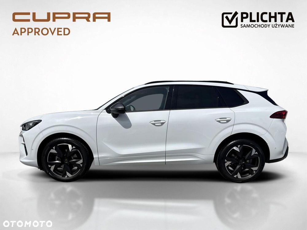 Cupra Terramar - 3