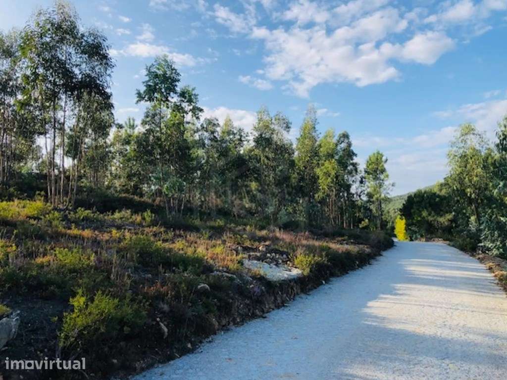 Terreno em Melres com Viabilidade de Construção - Próximo à EN 108 - Grande imagem: 2/4