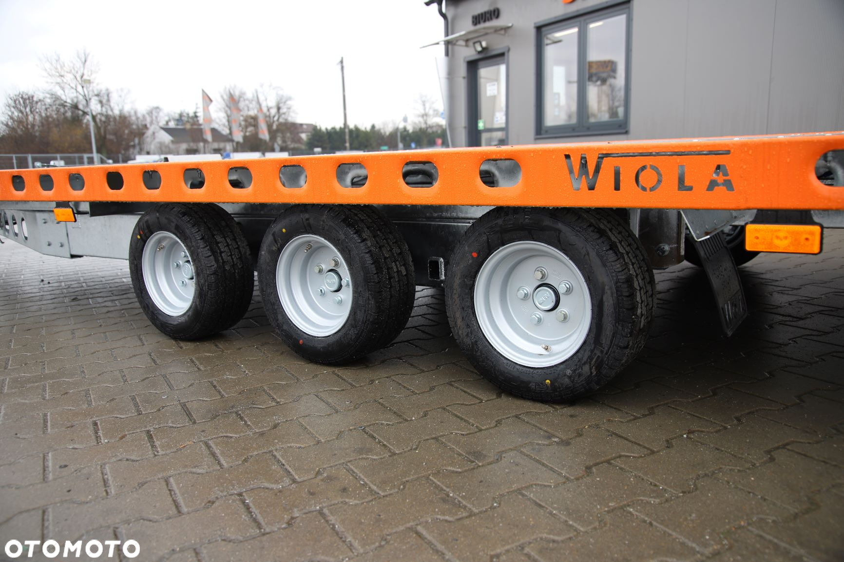Wiola Wiola uchylna L35G65P - 10