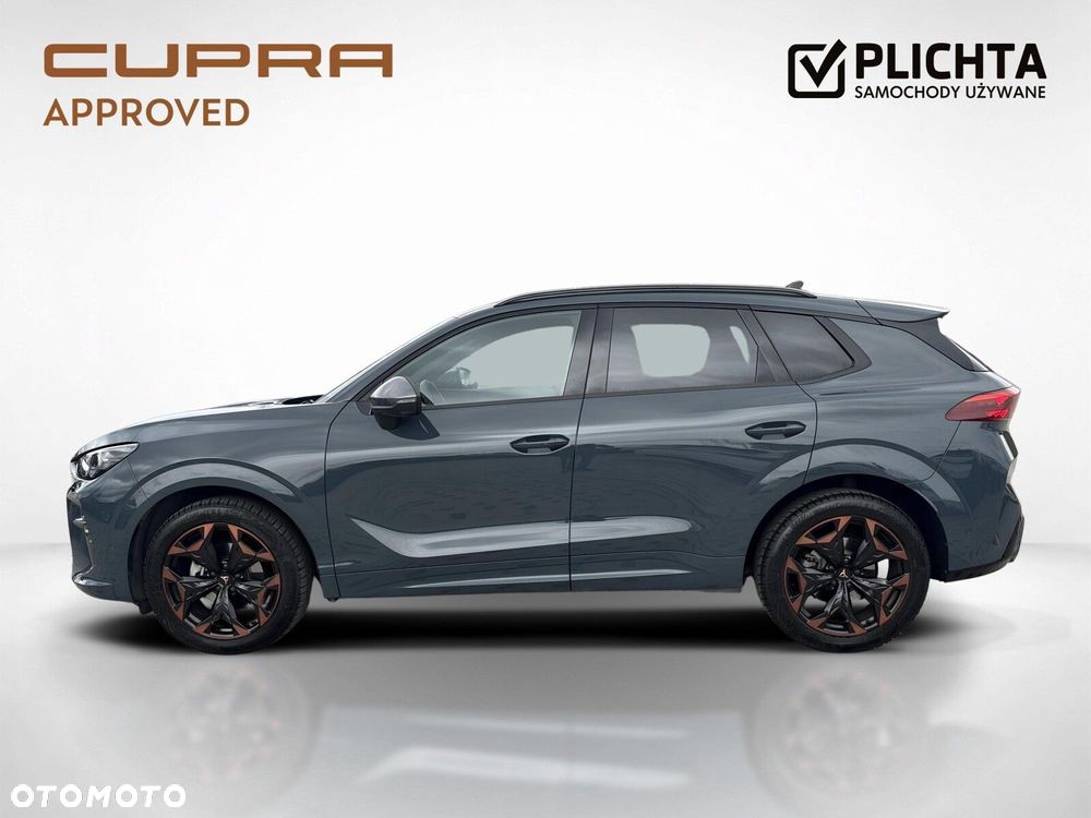Cupra Terramar - 3