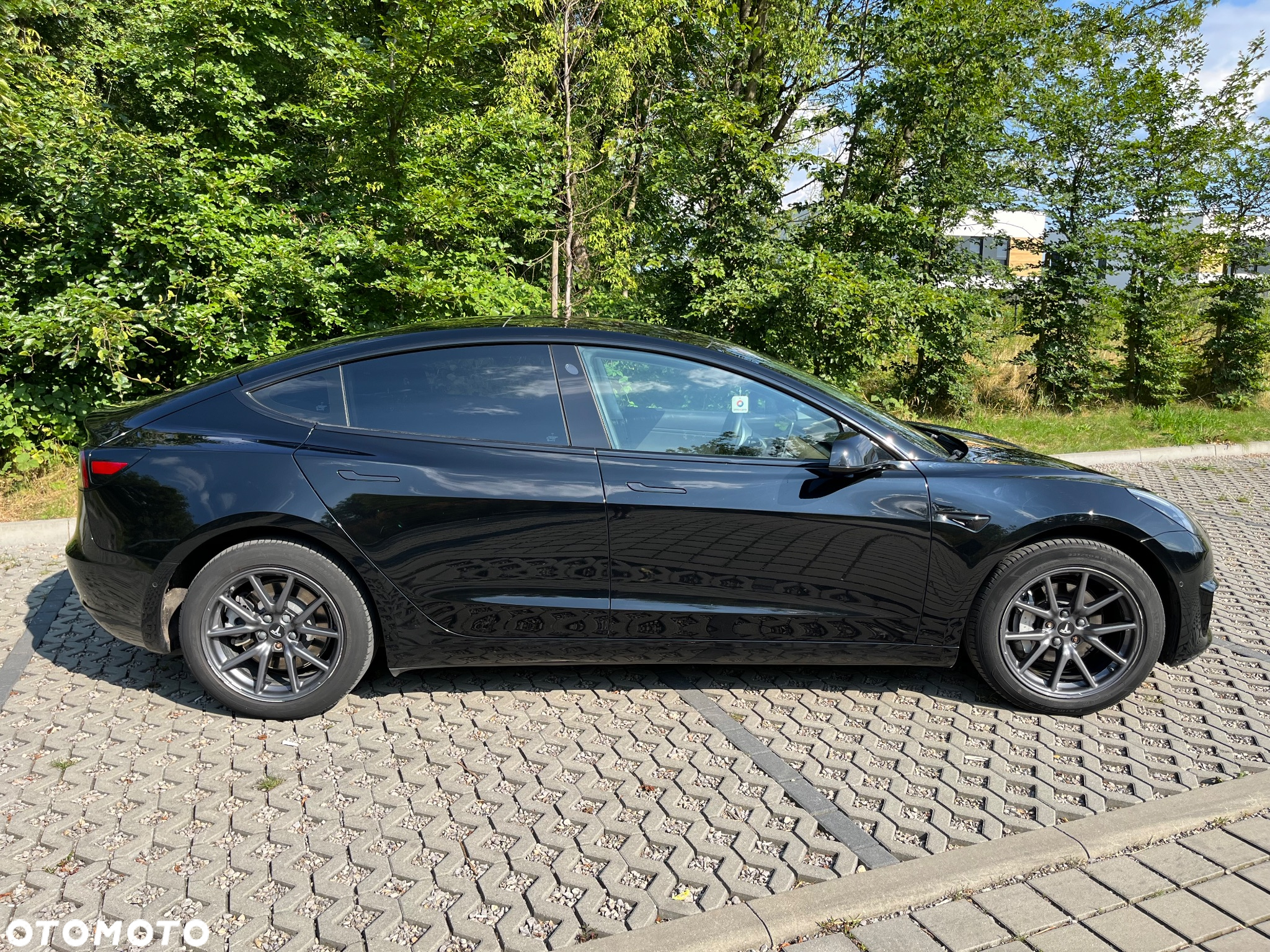 Tesla Model 3 Standard Reichweite Plus Hinterradantrieb - 8