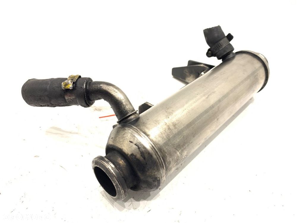 CHŁODNICA EGR - 70.00 PLN - FIAT CROMA (194_) 2005 - 2022 1.9 D Multijet (194AXC1B, 194AXC12) 110 - 1