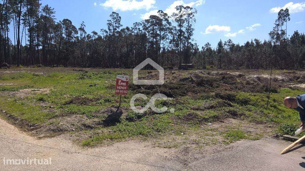 Terreno com 11.900m2 para construção de moradias. - Grande imagem: 3/7