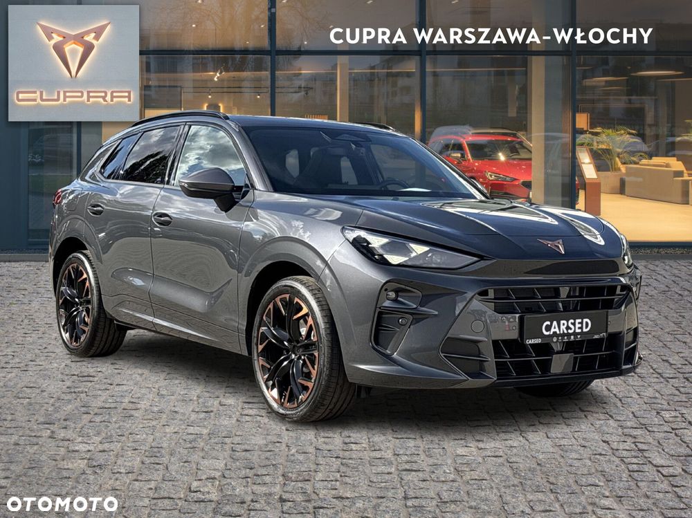 Cupra Terramar 2.0 TSI 4Drive Advantage Edition DSG - 8