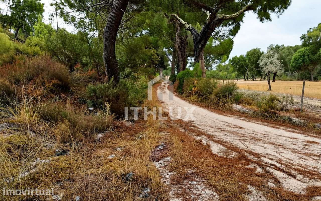 PROPRIEDADE MISTA | ~11 ha | GALVEIAS – ALTO ALENTEJO _  Habitação exi - Grande imagem: 2/23