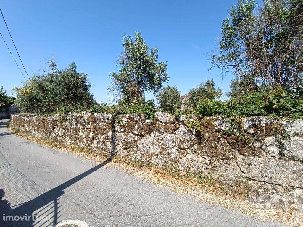 Terreno em Moimenta da Serra e Vinhó de 11200,00 m2 - Grande imagem: 2/20