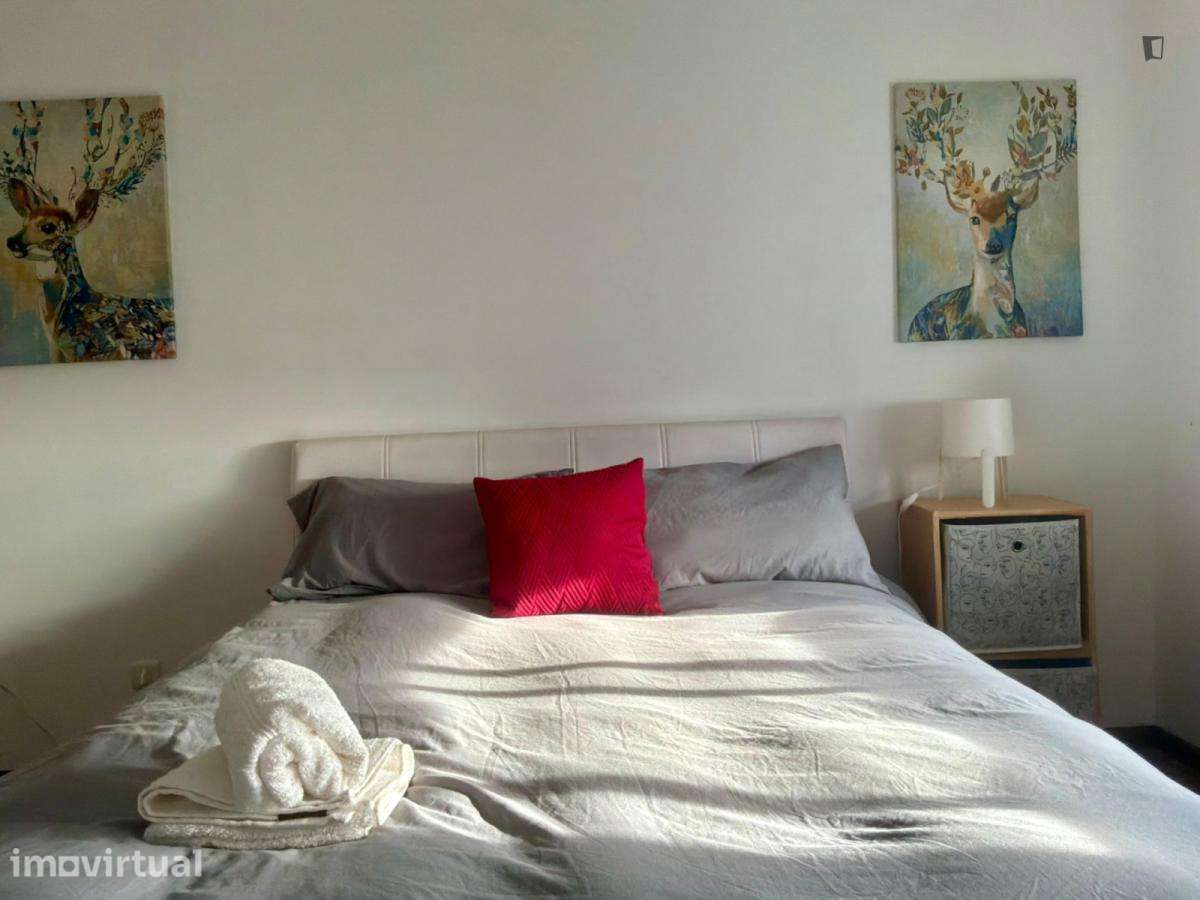 Quarto - localizado em Castelo branco - Grande imagem: 3/7