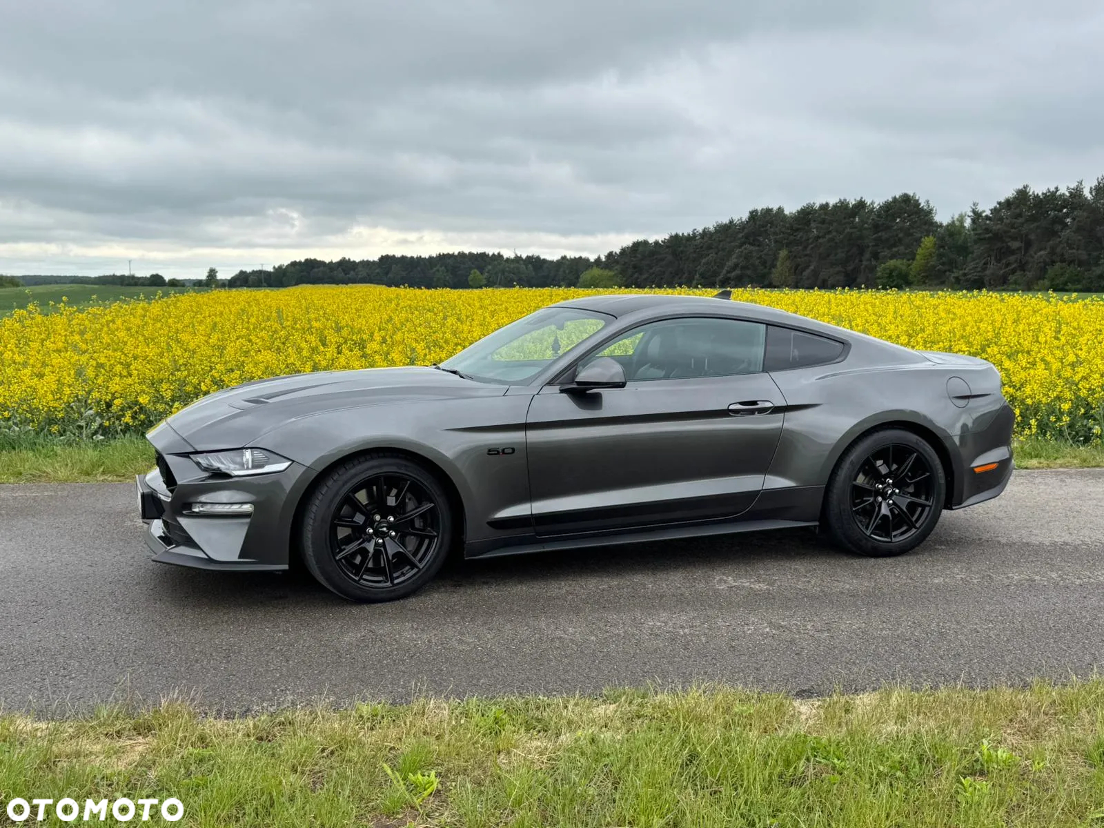 Ford Mustang 5.0 V8 GT - 7