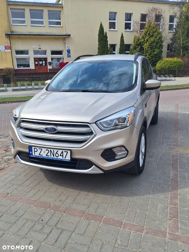 Ford Escape - 7