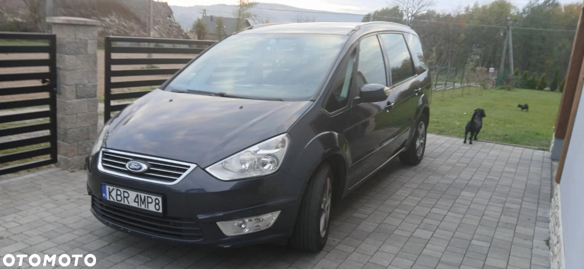 Ford Galaxy 2.0 TDCi Platinium X (Titanium) - 5