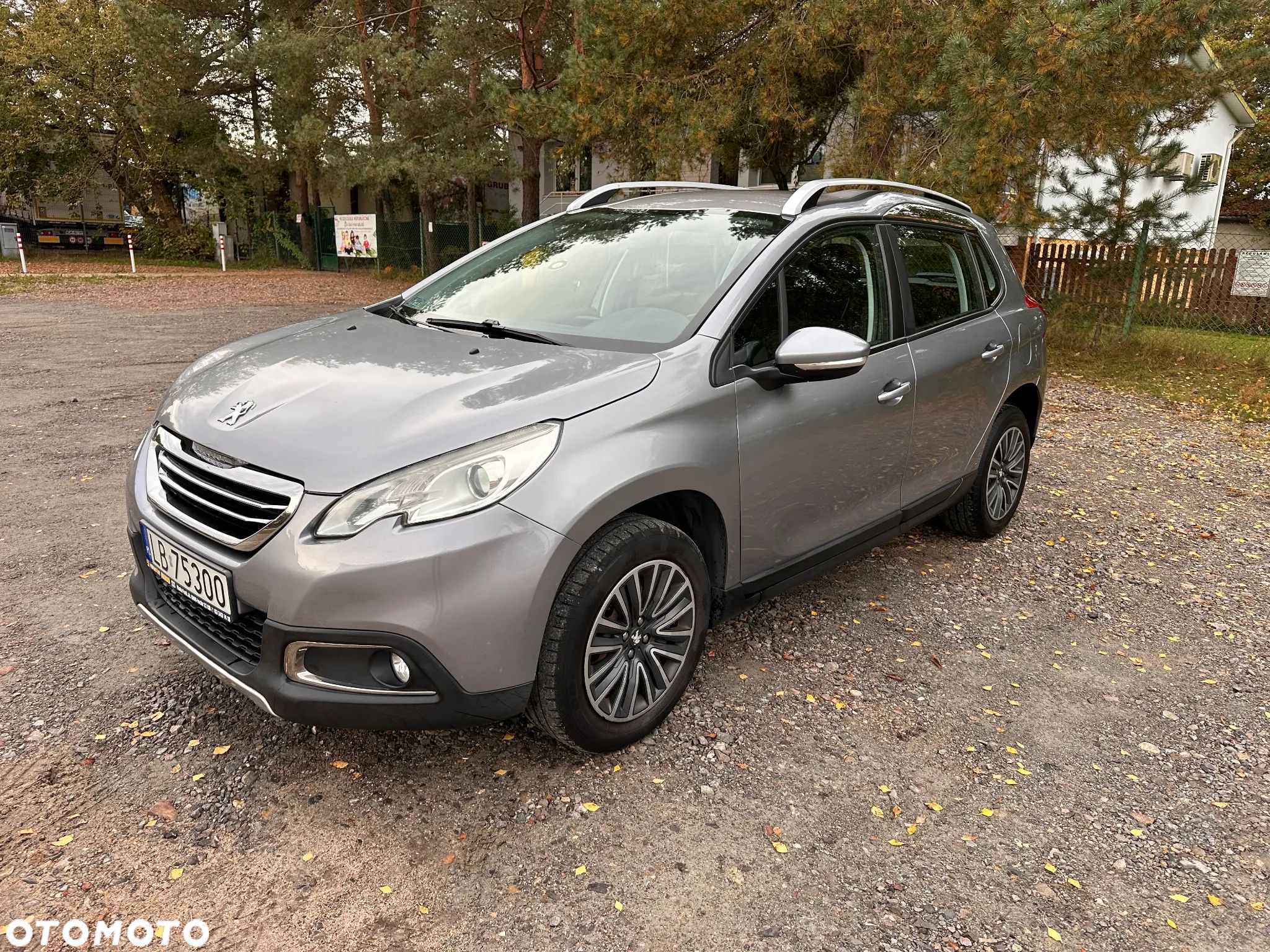 Peugeot 2008 1.6 BlueHDi Active - 1