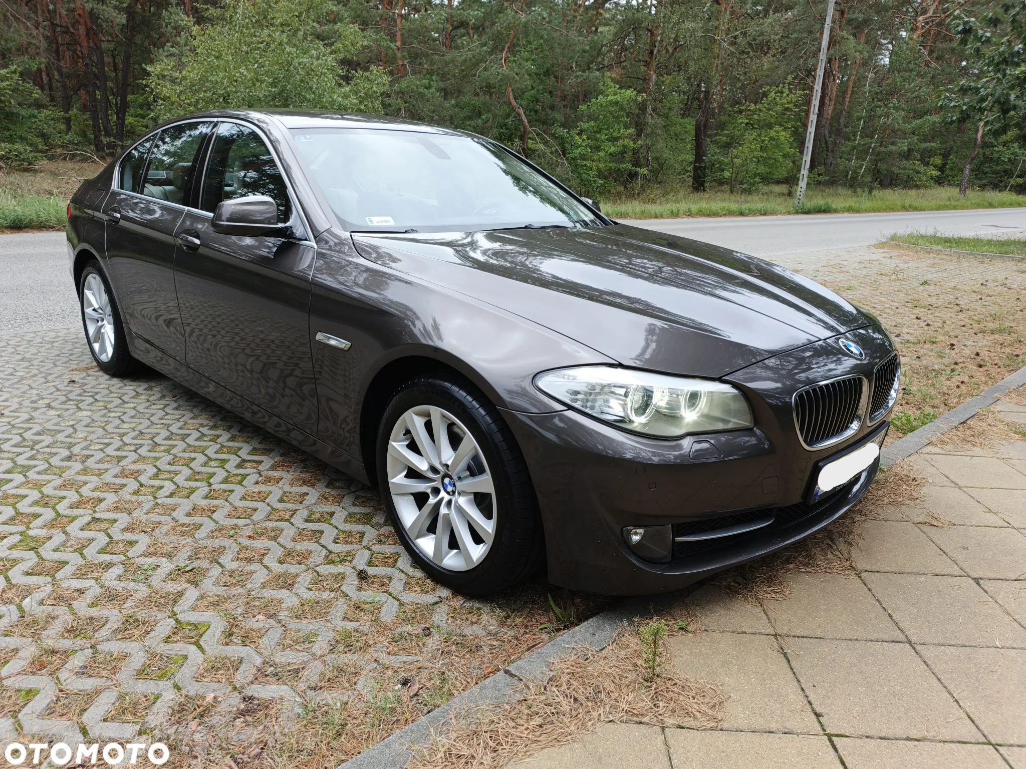 BMW Seria 5 - 16