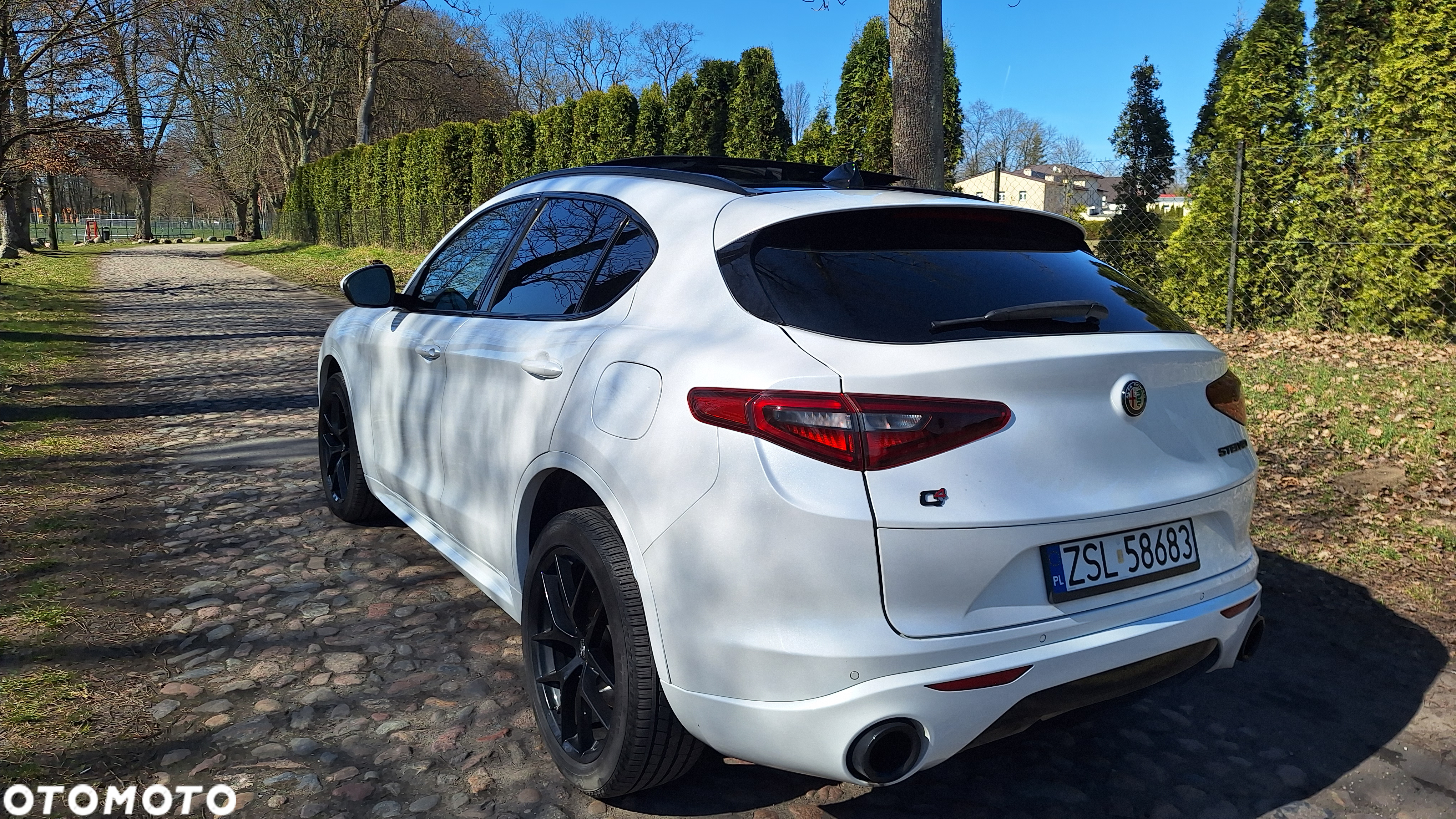 Alfa Romeo Stelvio 2.0 Turbo 16V AT8-Q4 Veloce Ti - 10