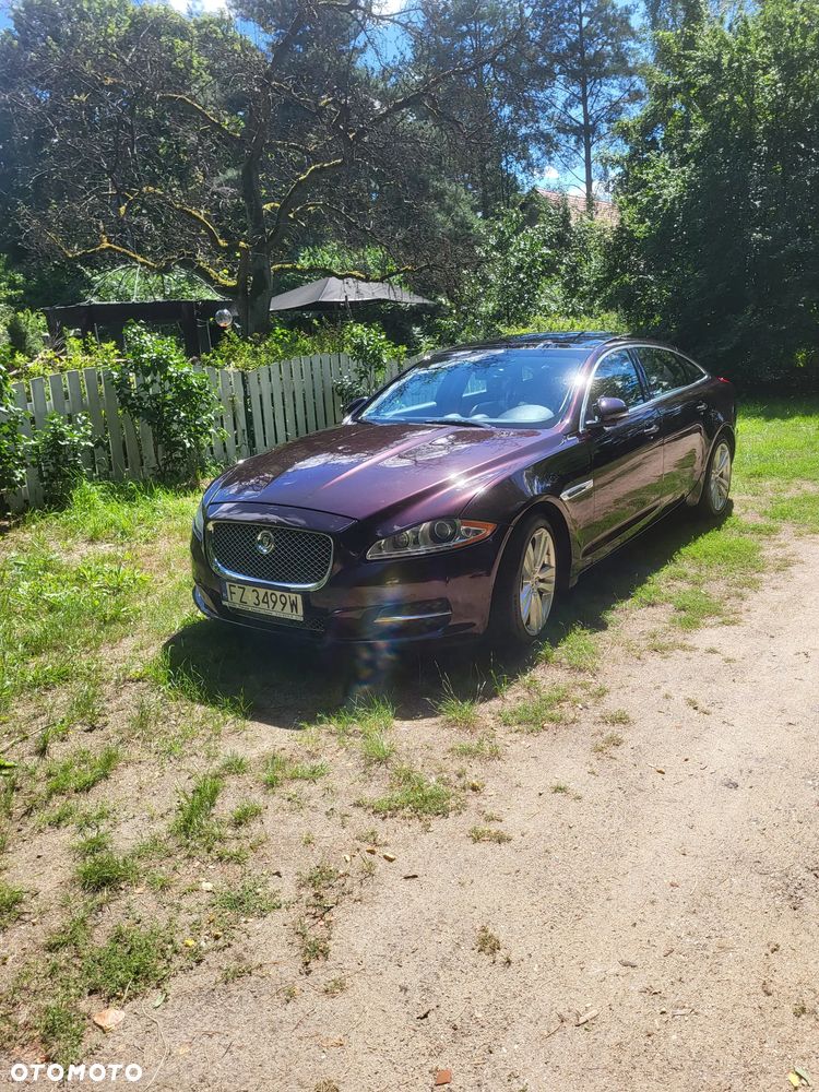 Jaguar XJ 5.0 V8 Premium Luxury - 1