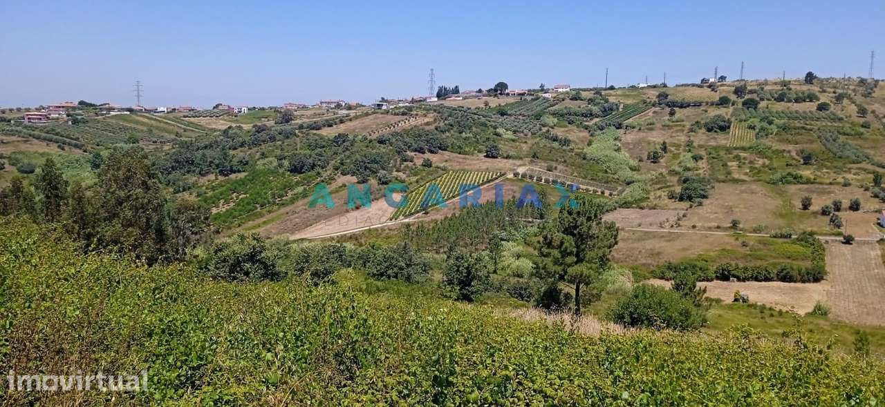 ANG1487 - Terreno para Venda em Batalha - Grande imagem: 3/4