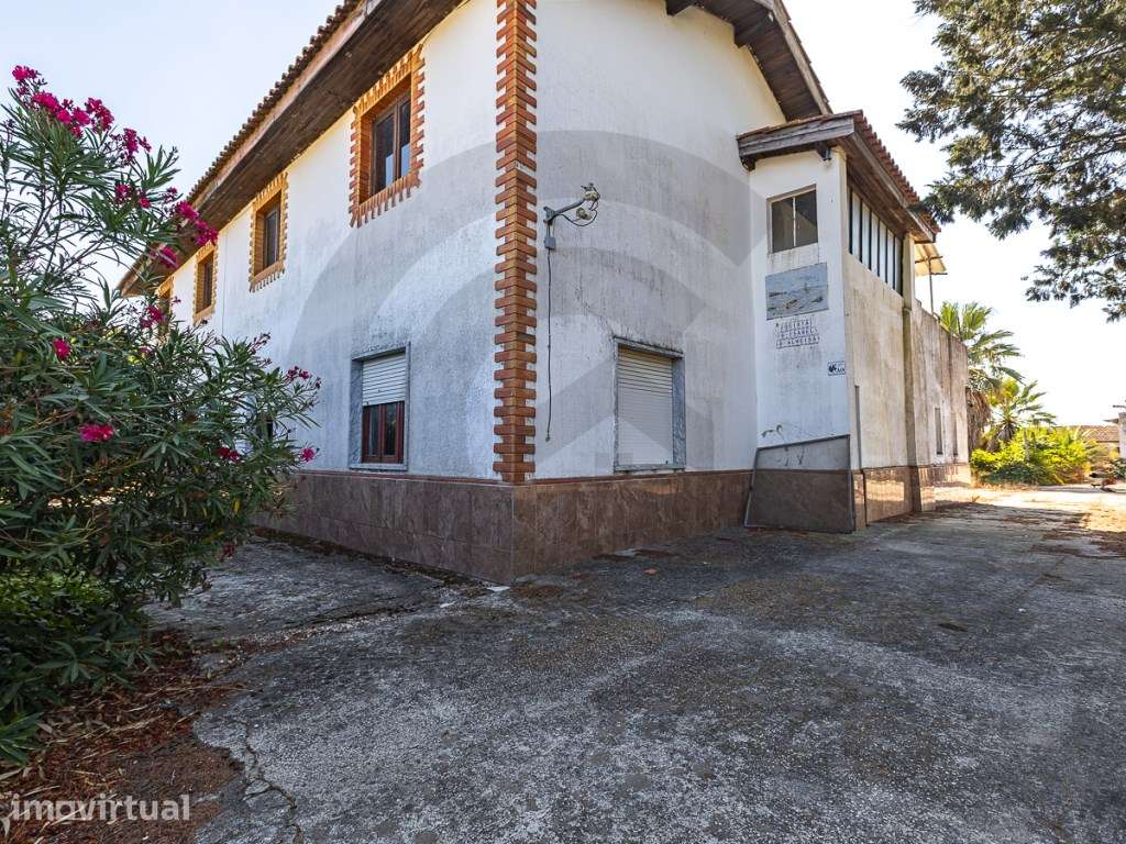 Moradia T2 com 9.540 m² de terreno em Frade de Baixo Uma verdadeira... - Grande imagem: 4/11