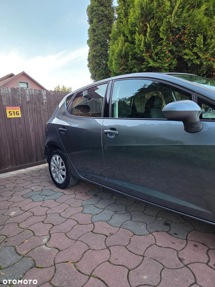Seat Ibiza - 17