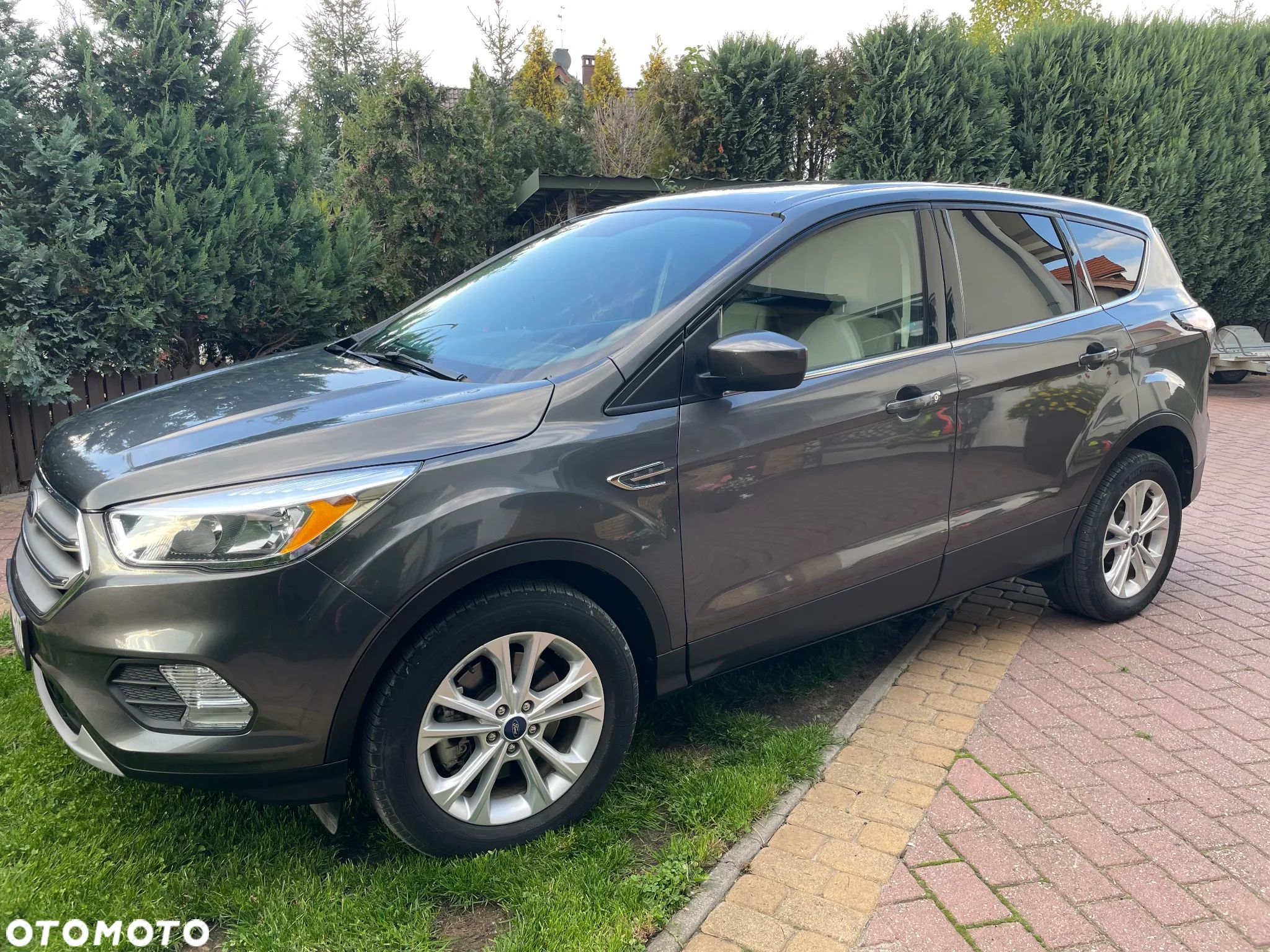 Ford Escape ver-1-5-ecoboost-awd-se - 1
