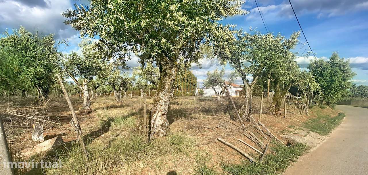 Lote terreno Rustico - Grande imagem: 2/2