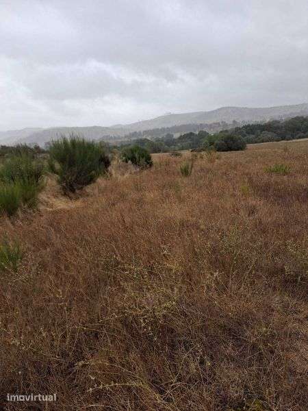 Terreno rustico com regadio do zêzêre para venda I Trigais