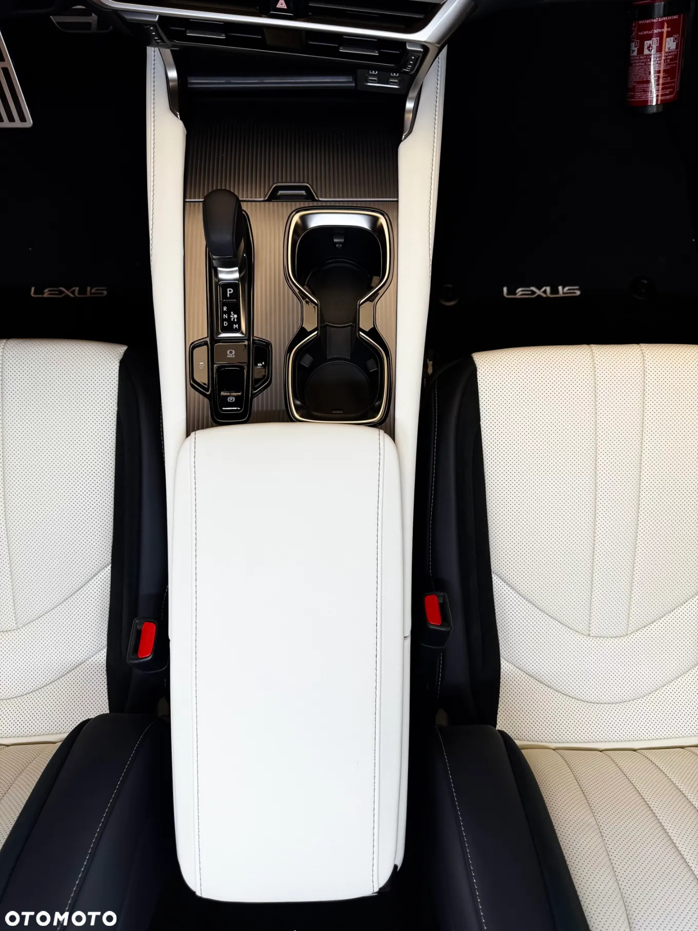 Lexus RX 500h F Sport - 21
