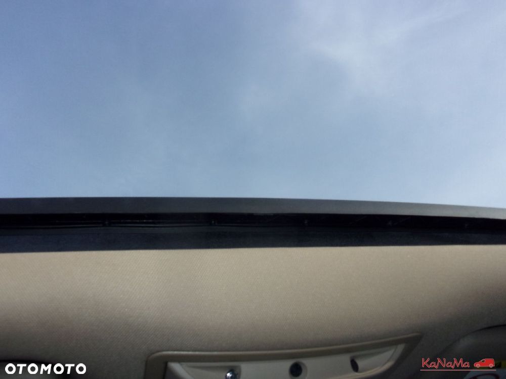 Volkswagen Beetle - 35