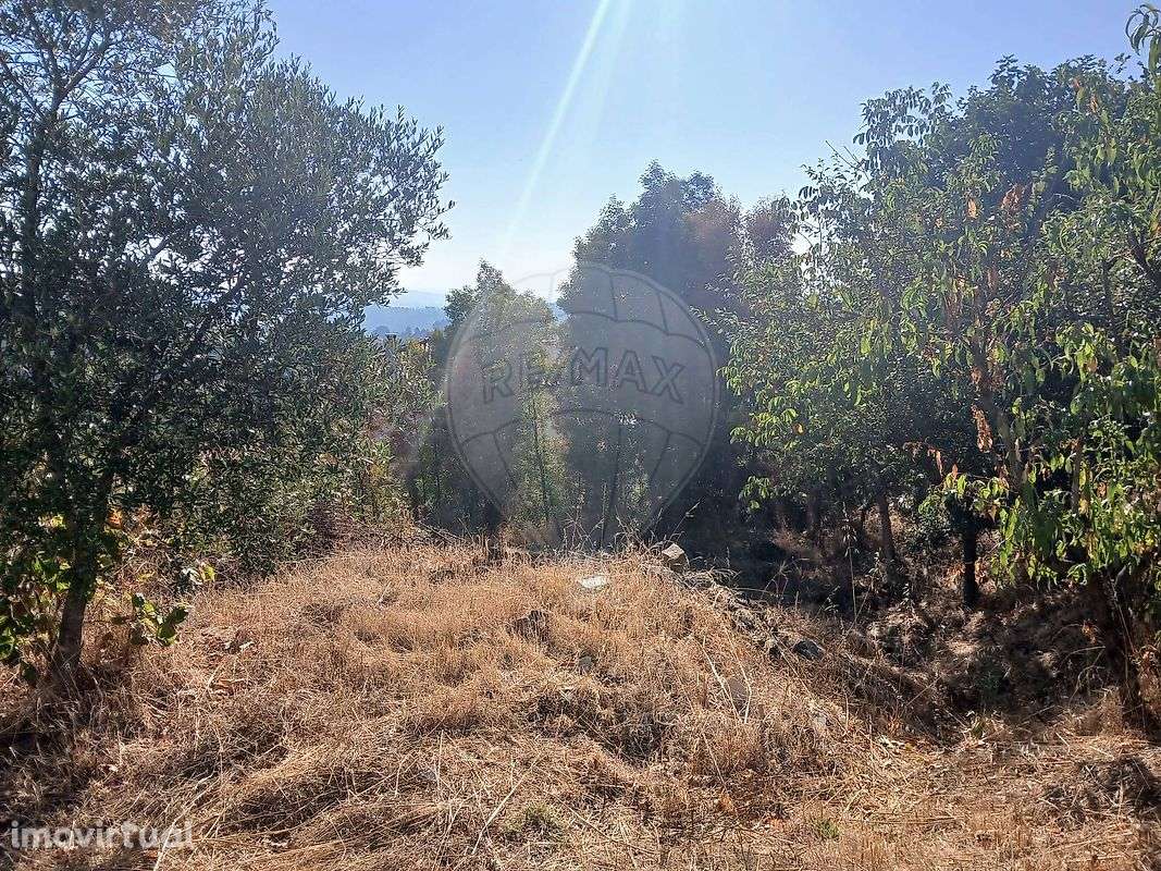 Terreno  para venda - Grande imagem: 3/7