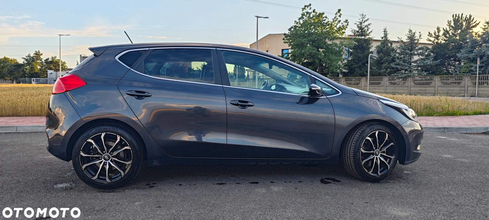 Kia Ceed - 1