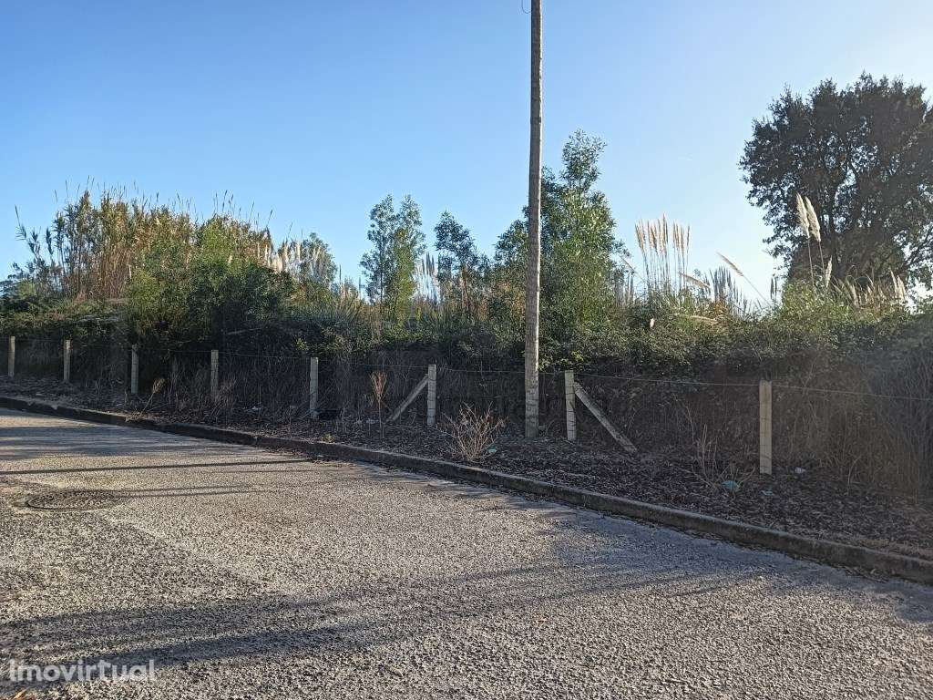 Terreno com 60m de frente - São Bernardo / Aveiro - Grande imagem: 2/9