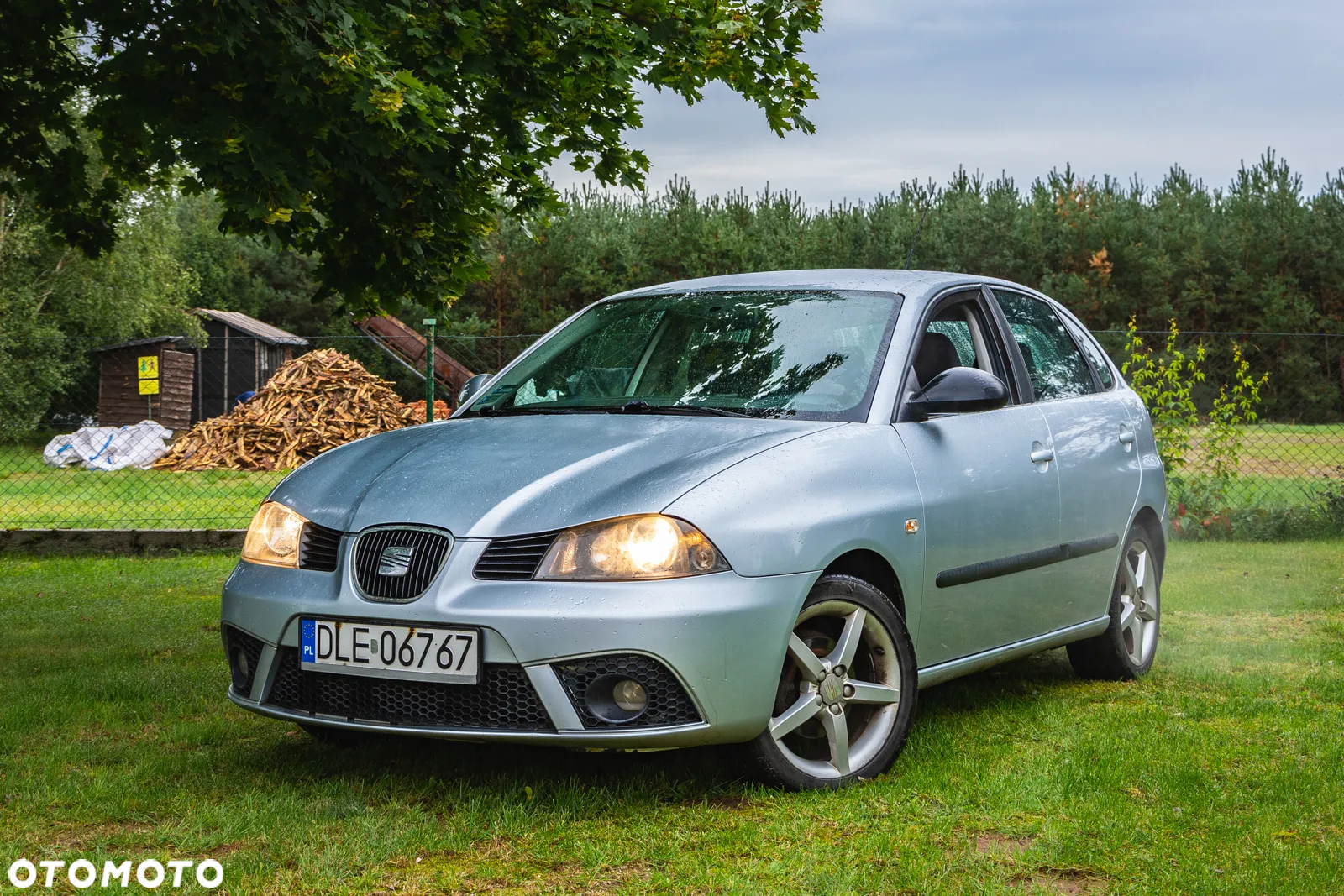 Seat Ibiza 1.2 12V Reference - 2