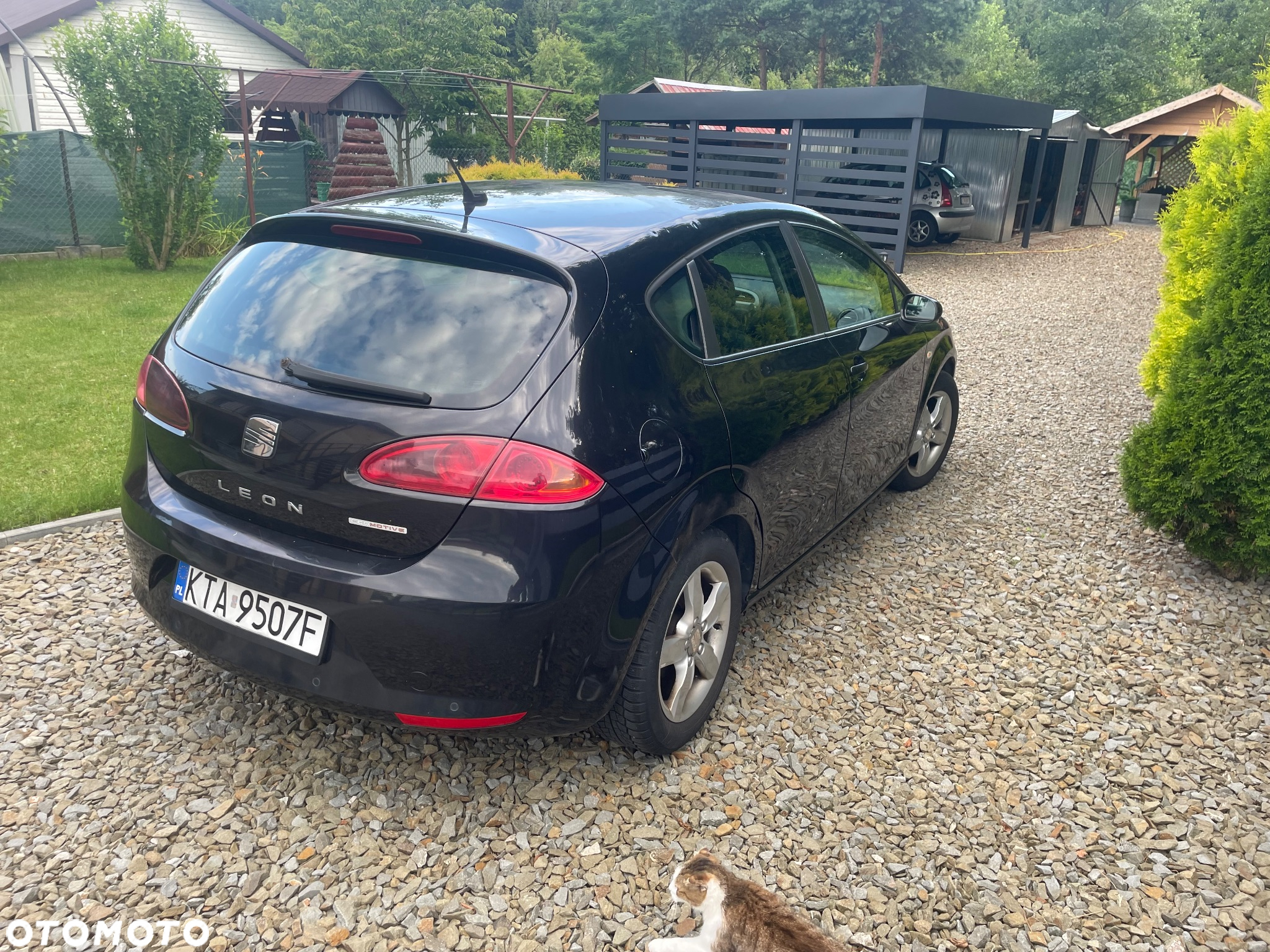 Seat Leon - 4