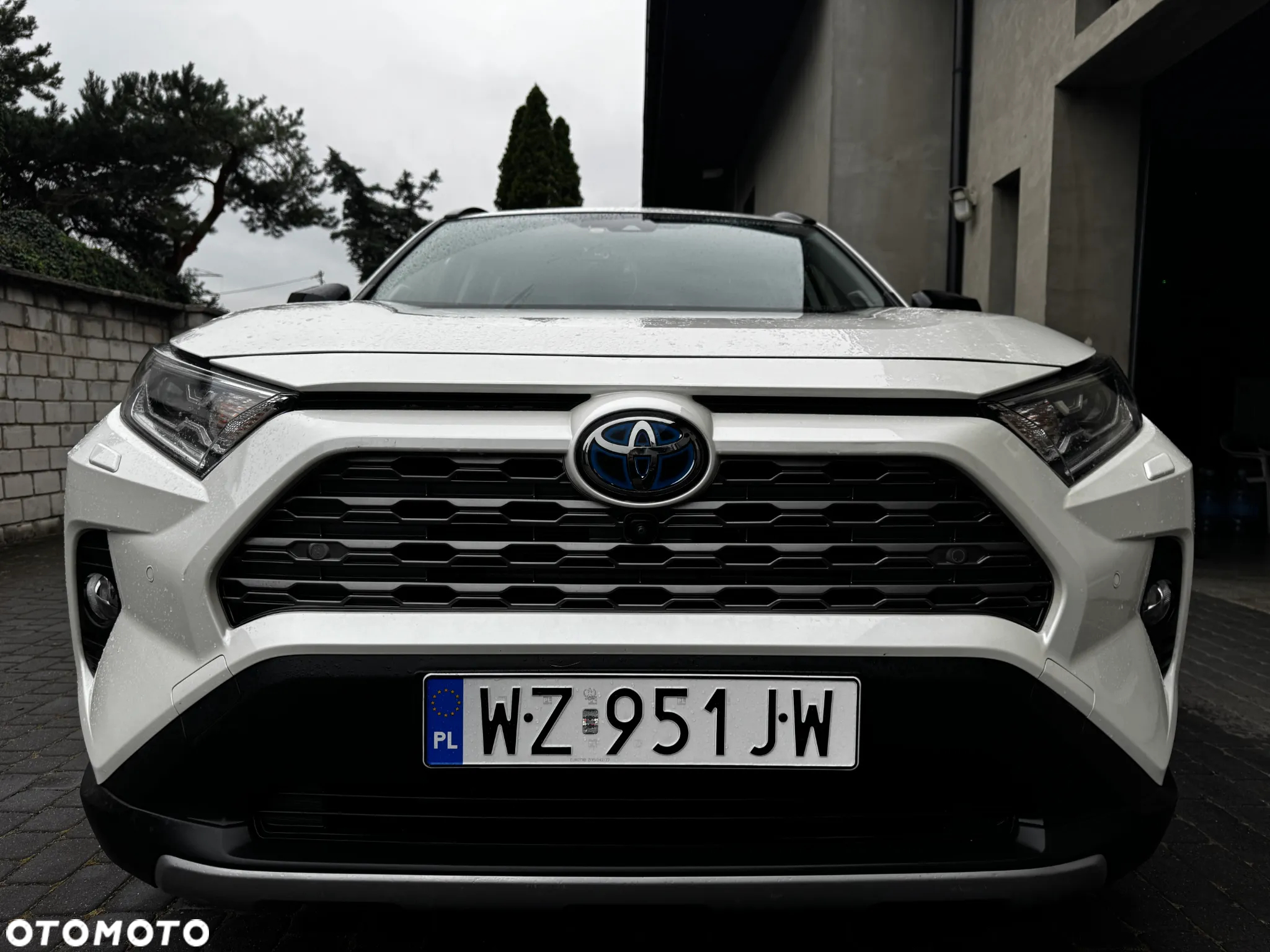 Toyota RAV4 2.5 Hybrid Executive 4x4 - 7