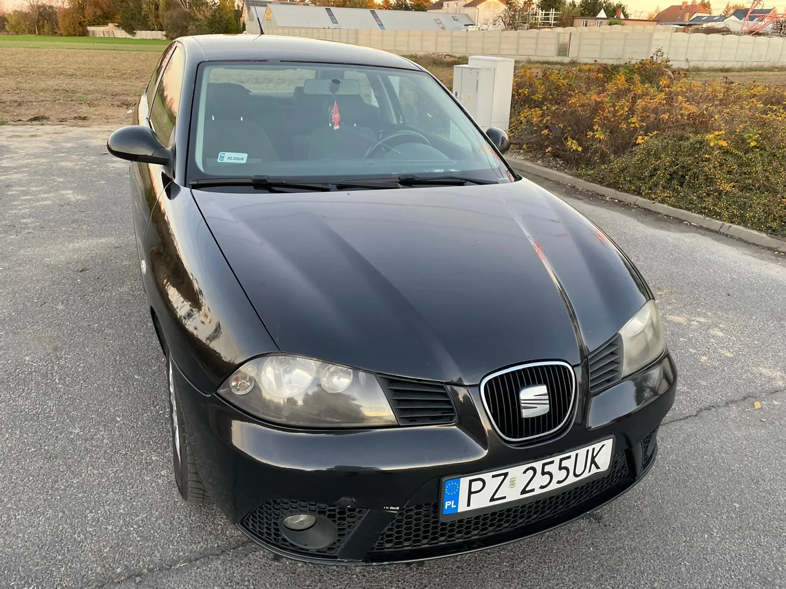 Seat Ibiza - 8