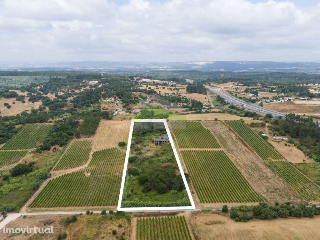 Terreno com 15.840m2 em Aveiras de Cima - Grande imagem: 4/19