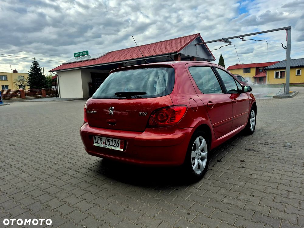 Peugeot 307 - 9