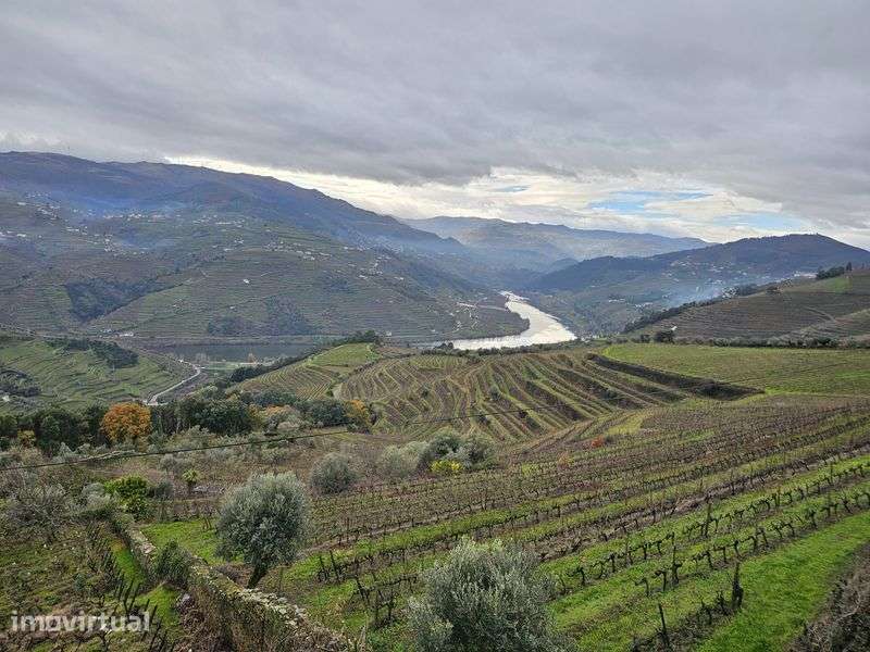 Casa para restauro no douro - Grande imagem: 5/5