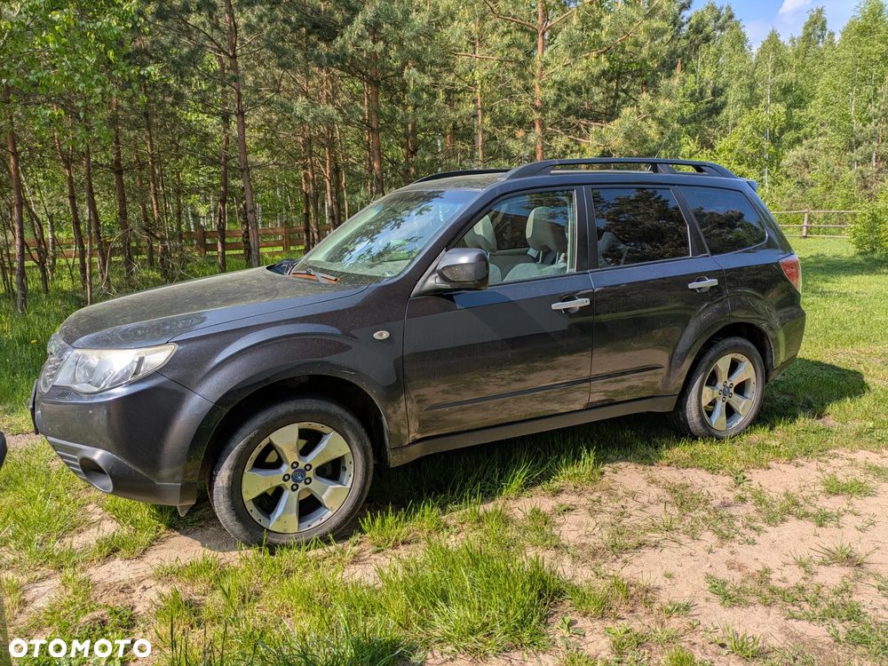 Subaru Forester - 1