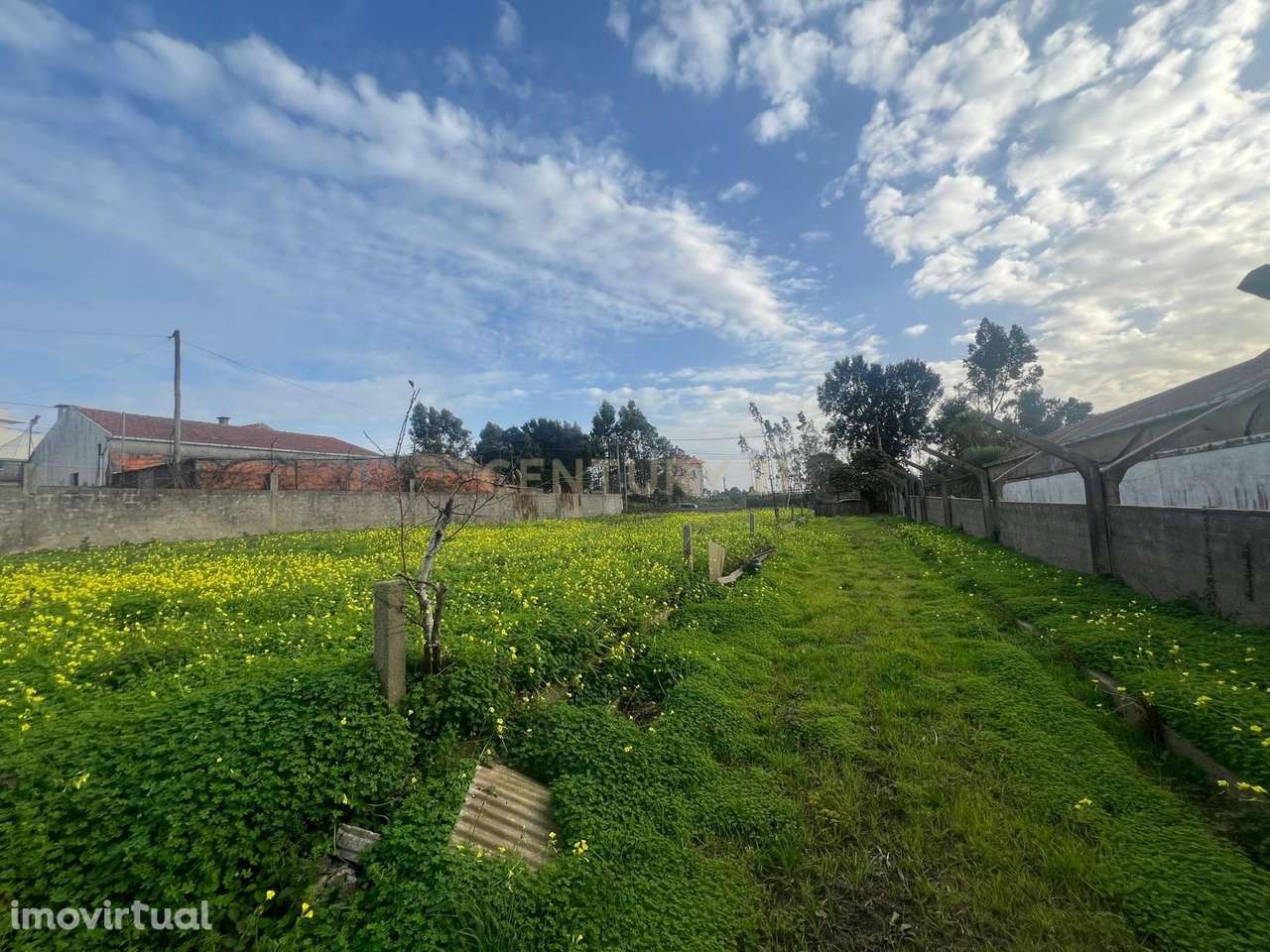 Terreno com PIP Aprovado em Canelas, Gaia, para Construção de 12 Morad - Grande imagem: 3/8