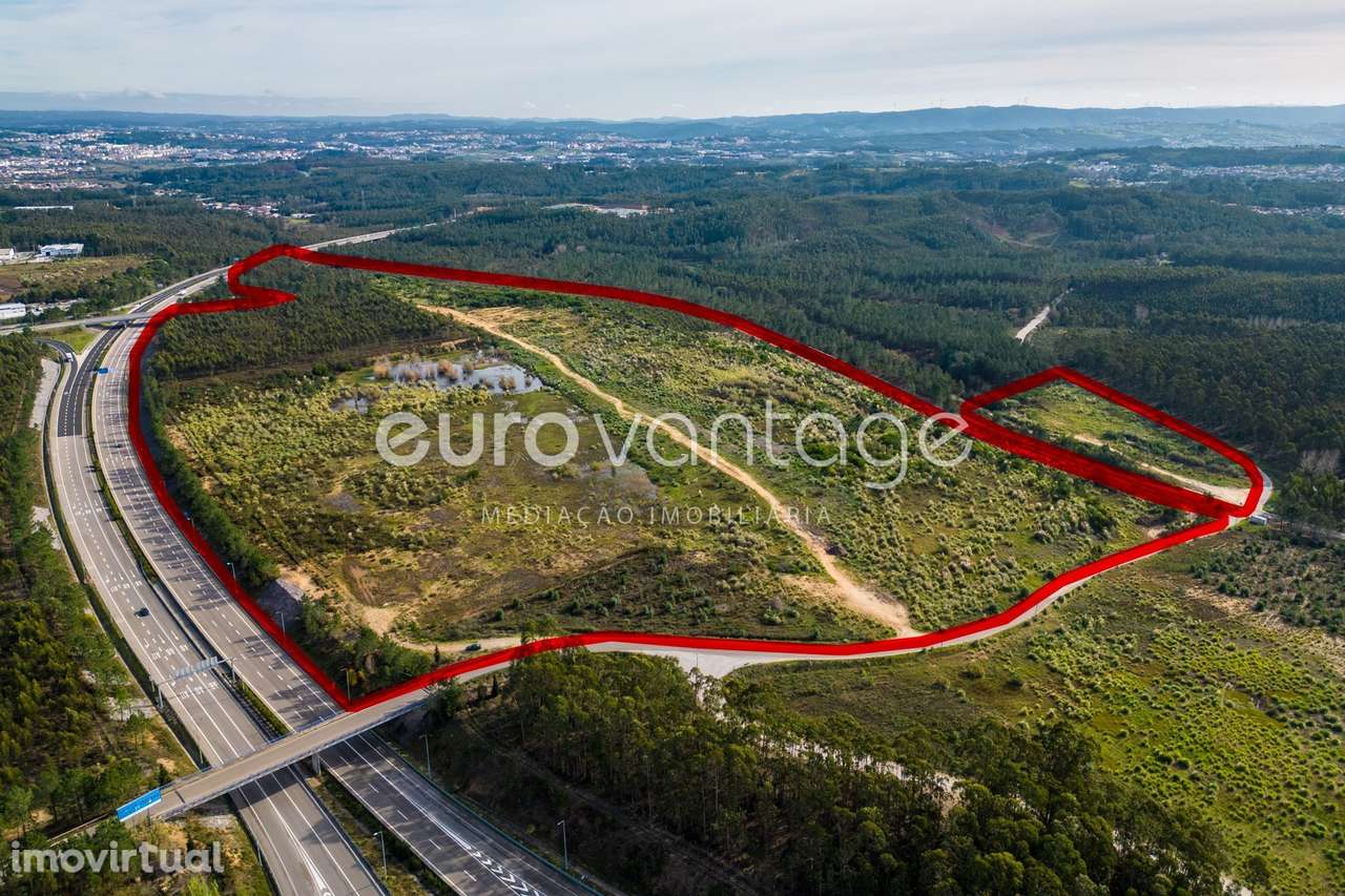 TERRENO DESTINADO A INDUSTRIA - BAROSA - LEIRIA - Grande imagem: 5/25