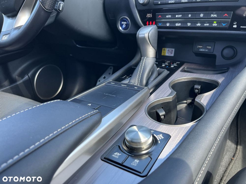 Lexus RX 450h F Sport - 20