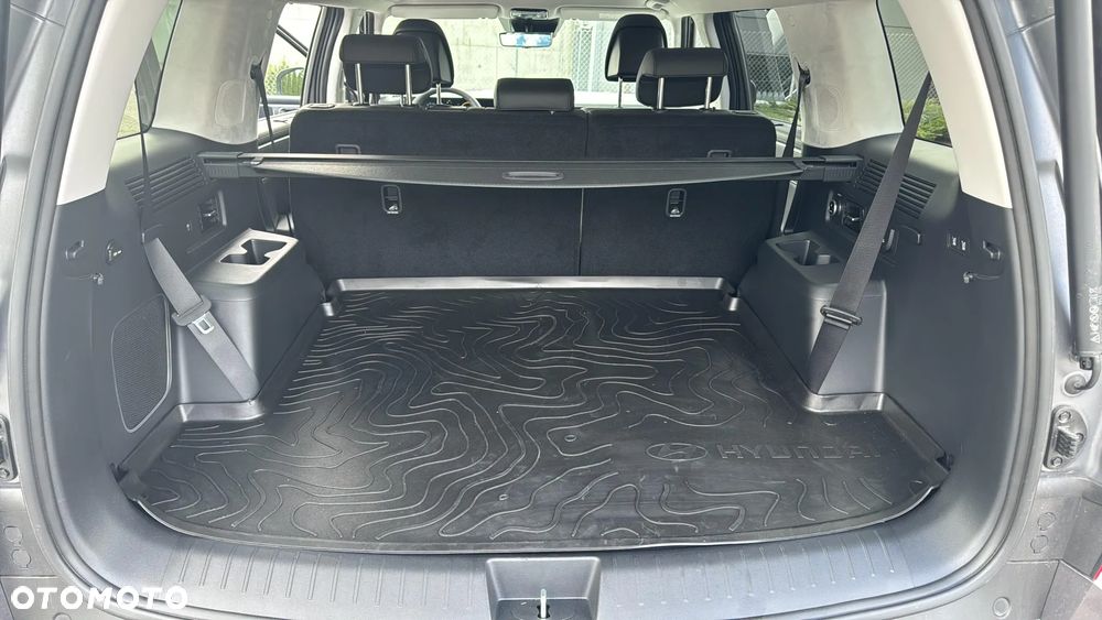 Hyundai Santa Fe - 30