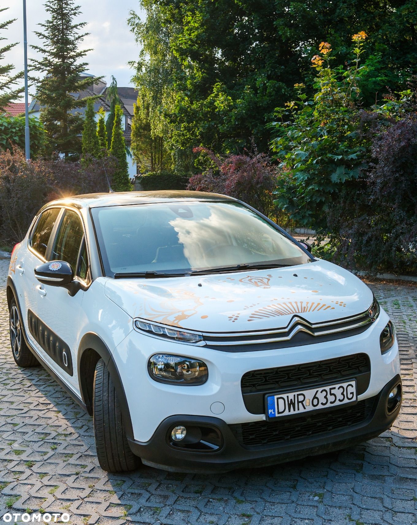 Citroën C3 1.2 PureTech Shine - 1