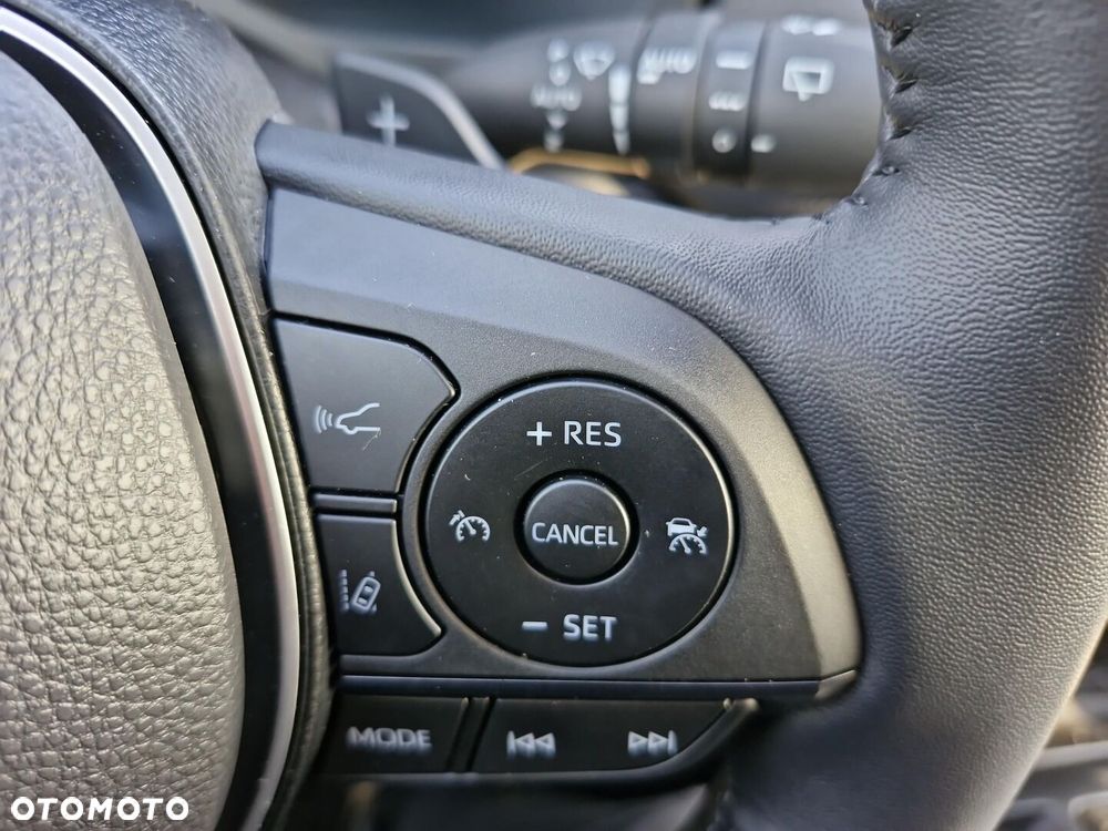 Toyota RAV4 2.5 Hybrid Executive 4x2 - 25