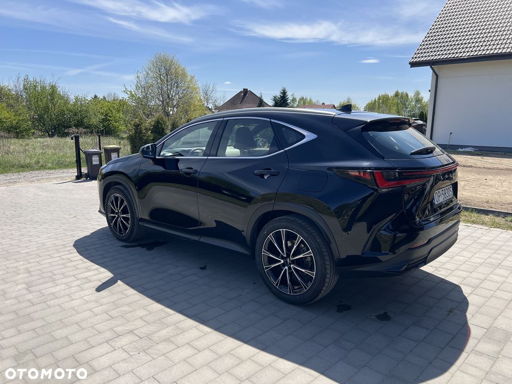 Lexus NX 350h Business AWD - 7