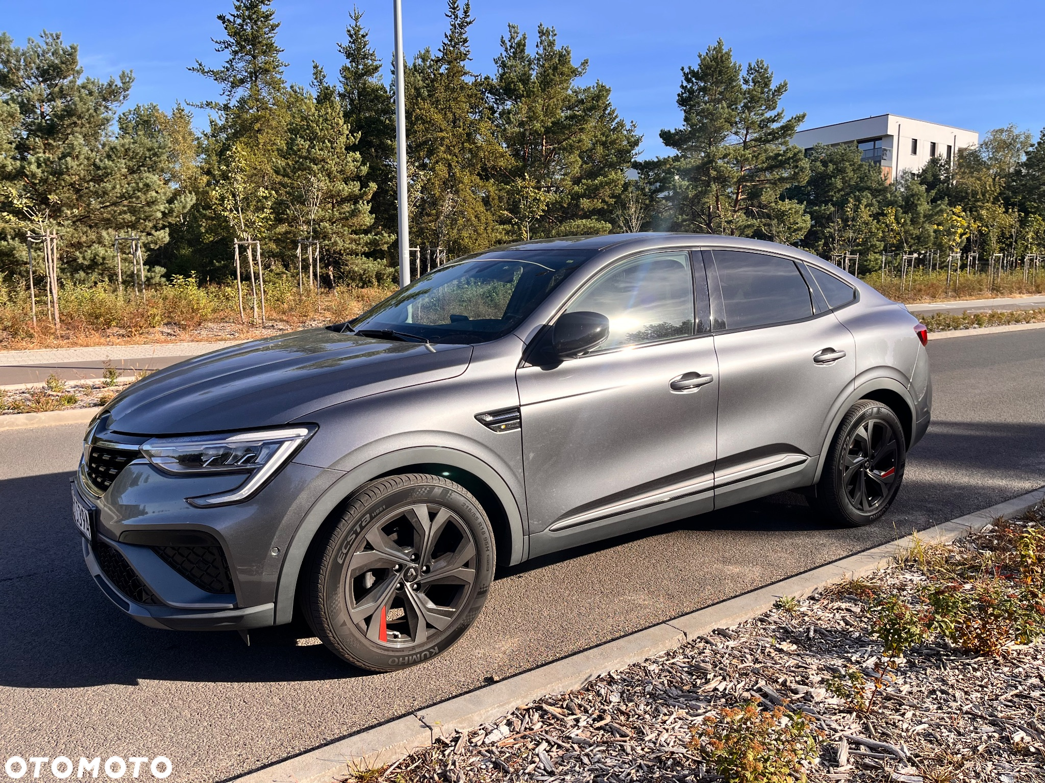 Renault Arkana - 2