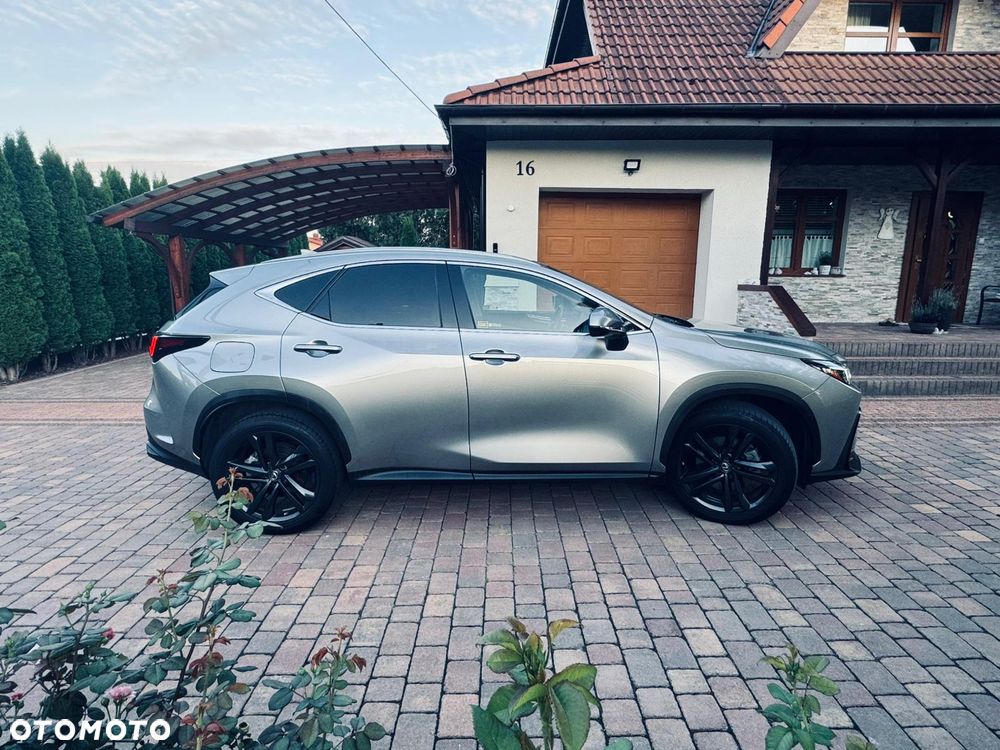 Lexus NX - 7